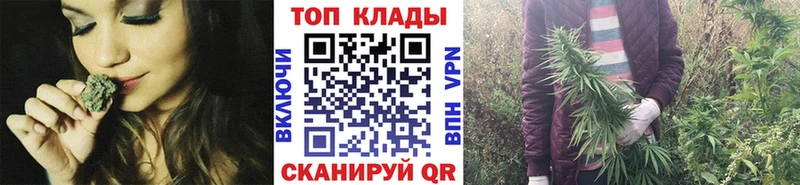 Купить закладку Гашиш  СОЛЬ  Меф мяу мяу  АМФЕТАМИН  Кокаин  Шахунья