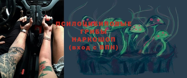 соль курить ск Каменногорск