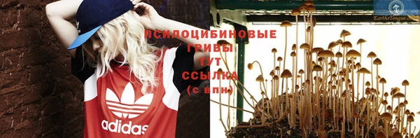 соль курить ск Каменногорск