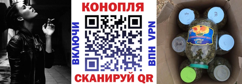 Купить закладки  Шахунья  Конопля Ganja 